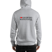 Load image into Gallery viewer, Super Silver Haze | Hoodie